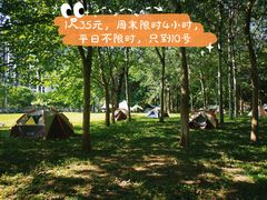 -大望京公园