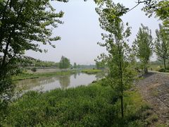 -洨河生态公园