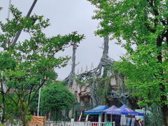 -贵州森林野生动物园