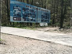 -朱雀国家森林公园