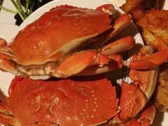 -星伦多 自助料理(圆融店)