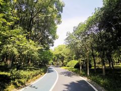 -新洲生态园