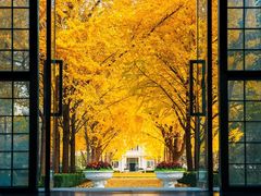 -北京理工大学(中关村校区)