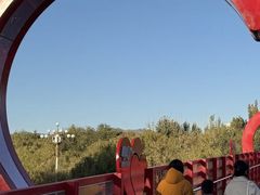 -阿尔丁植物园
