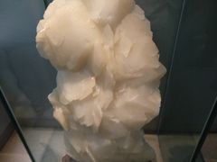 -中国地质大学逸夫博物馆