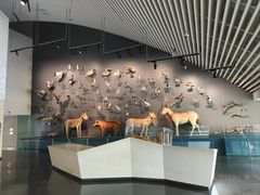 -中国湿地博物馆