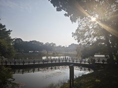 -东莞植物园