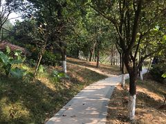 -中山市树木园
