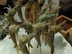 深水虾-尚海豆捞(乐虹坊店)