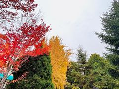 -辽宁大学(崇山校区)