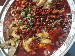 沸腾水煮鱼-东来菜馆•手抓海鲜家常菜•海鲜锅贴(鸽子窝店)