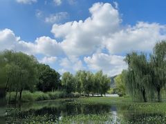 -长广溪湿地公园