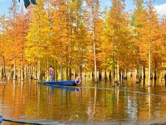 -白鹭湾湿地公园