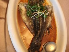 -海龙阁酒家·37年老字号粤菜(保利广场店)