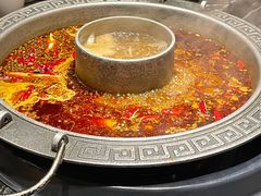 -杨肥肠火锅大排档(火车站花园店)