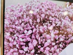 -小八仙·宴(三峡茶庄店)