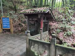-凤栖山