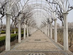 -张裕卡斯特酒庄