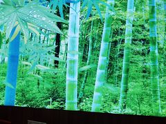 -原鄉本味 楚菜 丹江口鱼(北苑店)