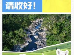 -呀诺达热带雨林