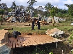 -海南热带野生动植物园