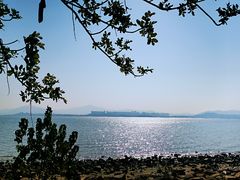 -深圳湾公园(南山区)