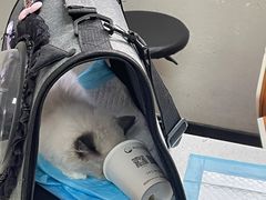 -联合动物医院(光谷诊疗中心)