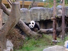 -宁波野生动物园