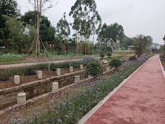 -白鹭湾湿地公园