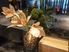 -将太无二·蓝鳍放题·北美寿司(领展购物广场中关村店)