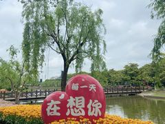 -上海鲜花港
