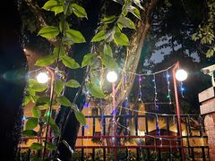-Boxing Cat Brewery拳击猫精酿啤酒馆(永福店)