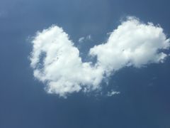 -清真·马文砂锅大全(麦苋街店)