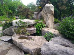 -东莞植物园