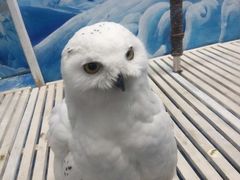 -成都浩海立方海洋公园