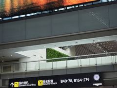 -广州白云国际机场-T2航站楼