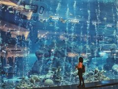 -成都浩海立方海洋公园