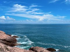 -广东惠东海龟国家级自然保护区