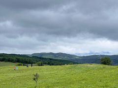 -御道口草原森林风景区