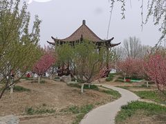 -天津东丽湖风景区