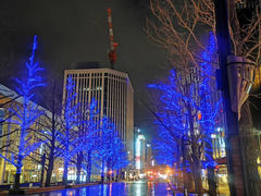 -札幌电视塔