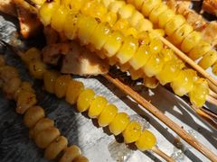-9号乌托邦烤羊腿羊排(志华商城旗舰店)