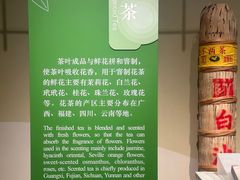 -中国茶叶博物馆(双峰馆区)