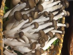 蟹味菇-湊湊火锅·茶憩(新中关购物中心店)