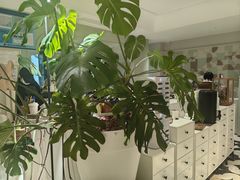 -一尺花园(安和花园店)