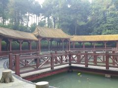 -铁山坪森林公园