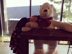 -济州岛泰迪熊博物馆