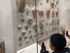 -四川大学博物馆