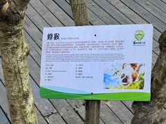 -普洱太阳河森林公园