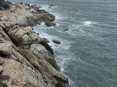 -广东惠东海龟国家级自然保护区